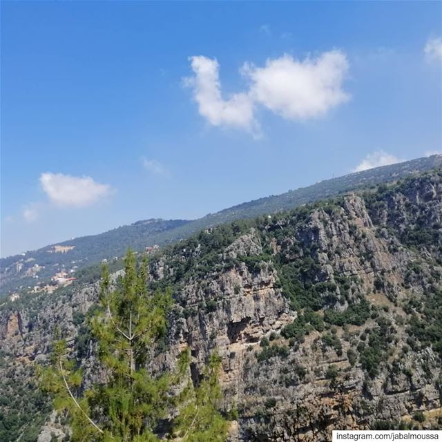 Breathtaking scenery on your way to  Chouwan. JabalMoussa  unesco ... (Jabal Moussa Biosphere Reserve)