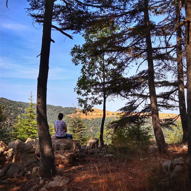 Breathtaking View & Endless Green!🌲 TheUrbanPotato.... lebanon ... (Cedar Reserve Tannourine)