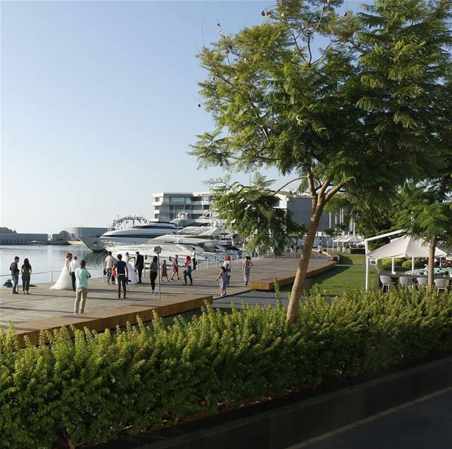 Brides and Yachts... bride  wedding  yacht  marina  love  beirutmarina ... (Zaitunay Bay)