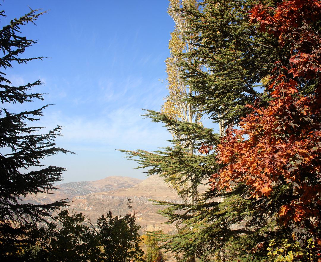 Brightful colors of  autumn in the  mountain  landscape_captures  skyline ... (Lebanon)
