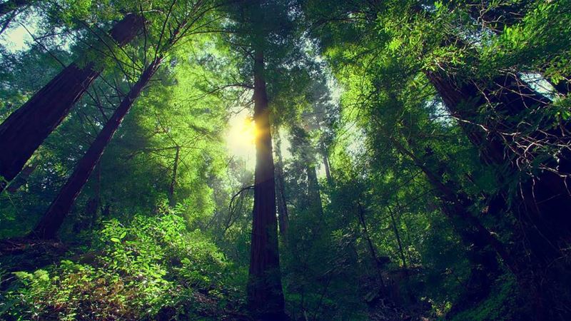 Bring out the  Sunshine . GoodMorning LiveLoveLebanon ... (Deïr Taanâyel, Béqaa, Lebanon)