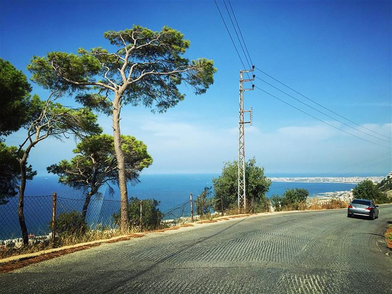 "Broad, wholesome, charitable views of man and things cannot be acquired... (Koura- Balamand University)