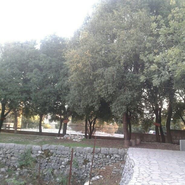 broumana
