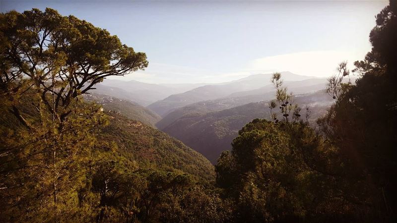  brummana  mountlebanon  hikingtrail  hikingdogsofinstagram  hike  hike365... (Beit Mery Hills)