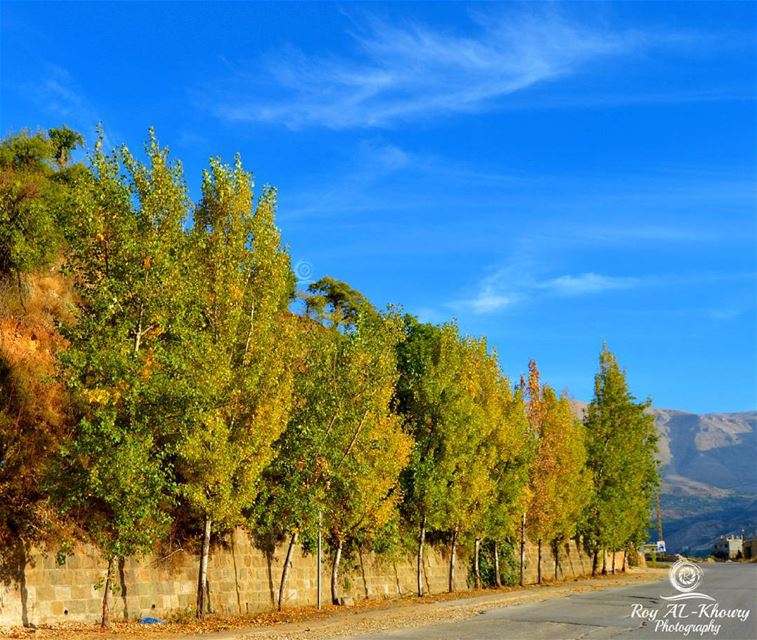  bsharre  livelovebsharreh  livelovecedars  livelovelebanon  fall2015 ... (Bsharri, Lebanon)