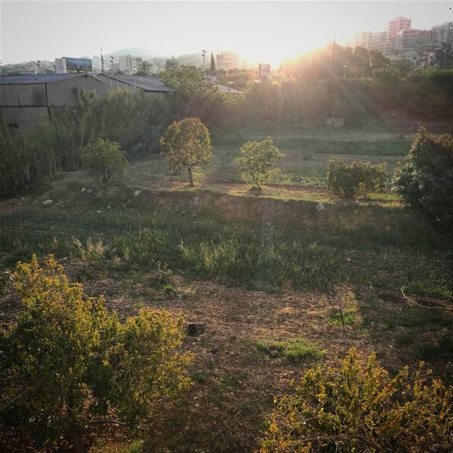 Buenos días de la ciudad del sol -  ichalhoub in  Batroun north  Lebanon...