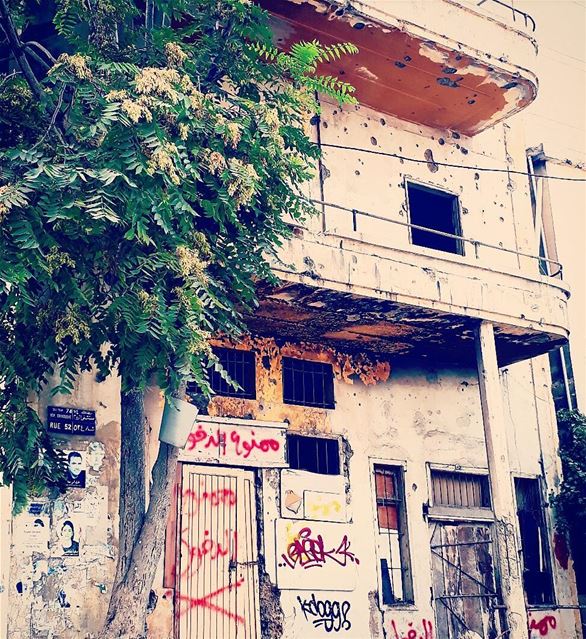 Bullets holes in abandoned home !! vintage  oldbeirut  afterwar ... (Achrafieh, Lebanon)