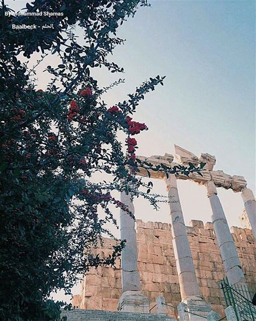 By @hamoudi_sh.98 بعلبك  بعلبك_الحلم  لبنان  IloveBaalbeck  Baalbeck ...