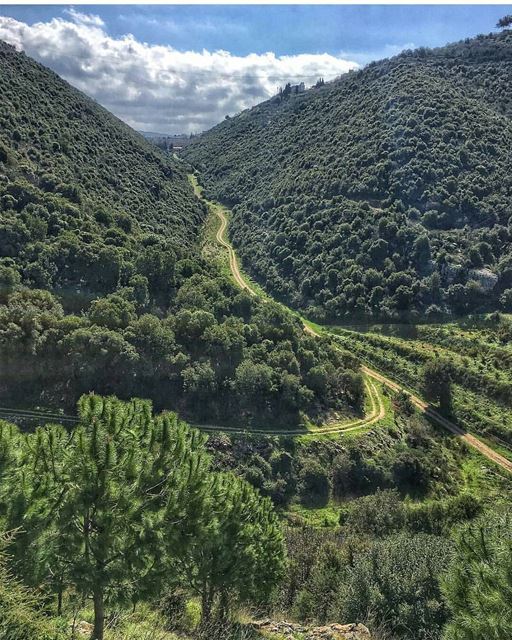 🍃🍃By @peterghanime------------------------------------------------------ (Ghouma, Liban-Nord, Lebanon)