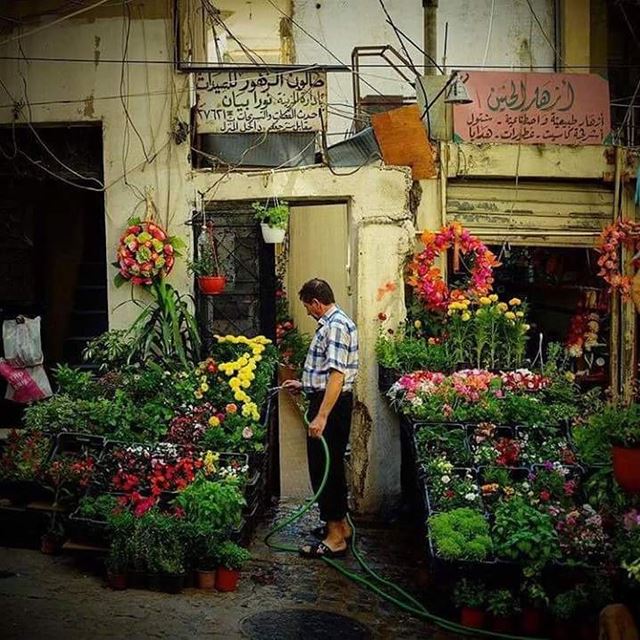 By @sadjadsalimi صباحكم ورد IloveBaalbeck  Baalbeck  livelovebeirut ...