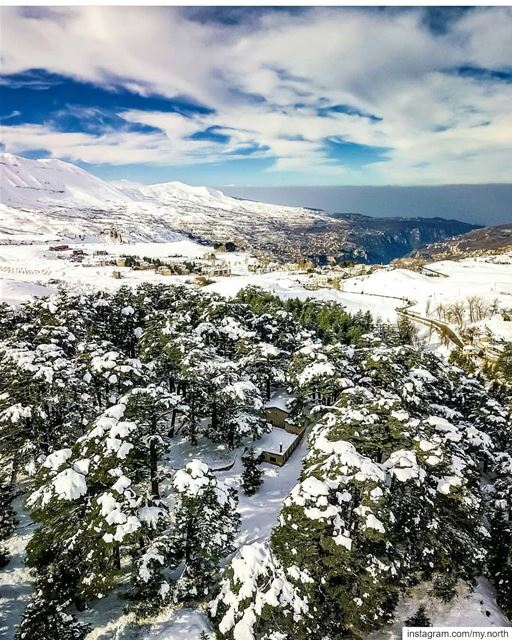 ❄by @tony.toni.tonee------------------------------------------------------ (El Arz, Liban-Nord, Lebanon)