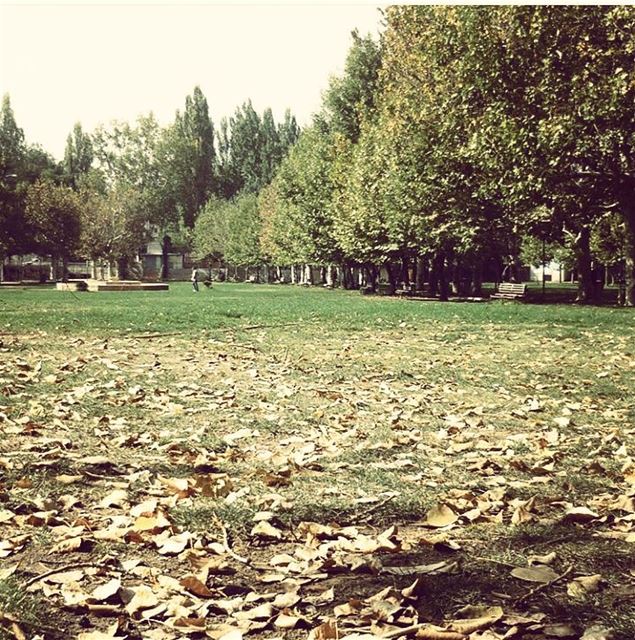 By @zaynab_solh مرجة رأس العين و الخريف IloveBaalbeck  Baalbeck ...