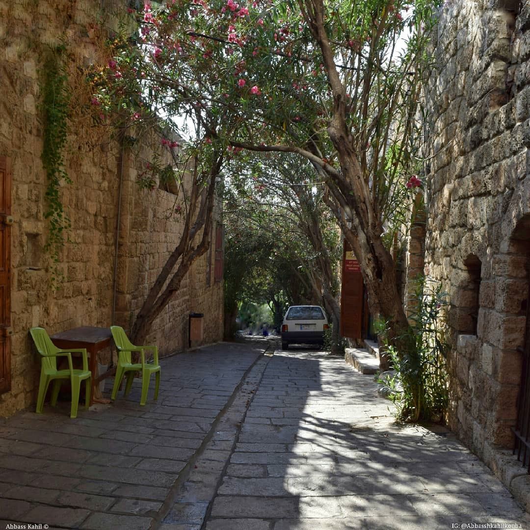.• " Byblos calm neighborhood "• Location: Byblos City | Lebanon-------- (Byblos - Jbeil)