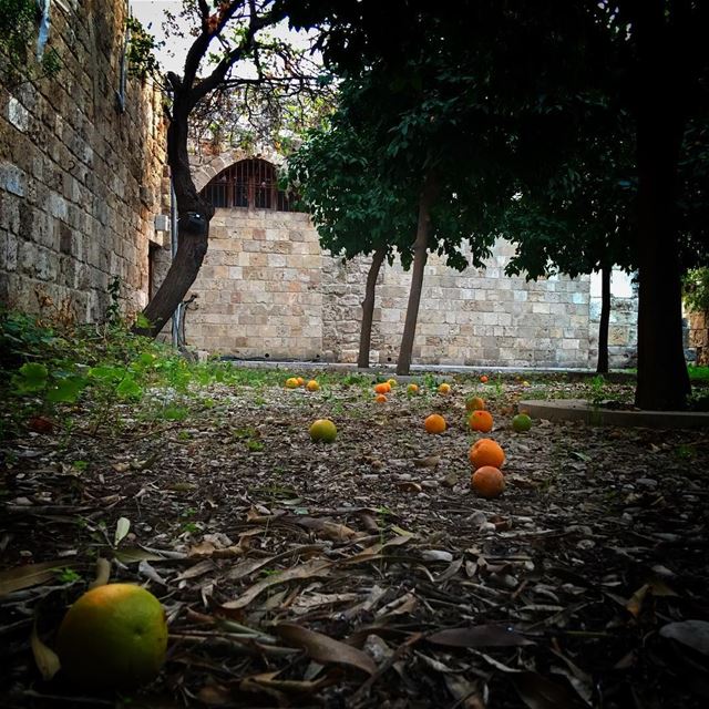  Byblos  Jbeil  livelovelebanon  livelovebyblos  OldCity  Backyard ... (Byblos, Lebanon)