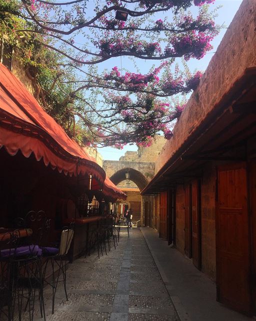 🌺🌸🌺 byblos  jbeil  love  streets  details  flowers  peace  lebanon ...