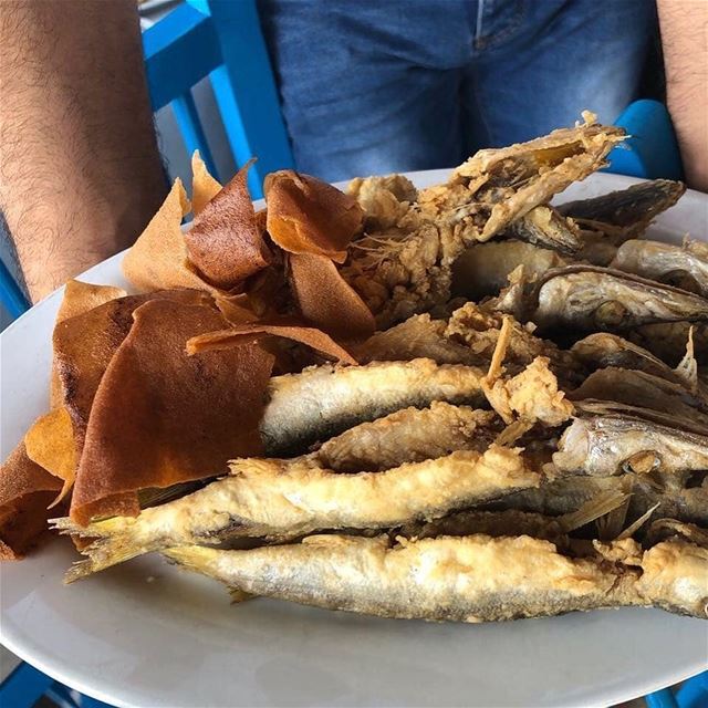 @byblos_fishing_club -  Serving best fish since 1960  fish ... (Pepe’s Byblos Fishing club)