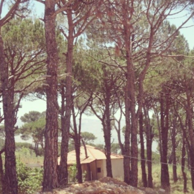 c'est un petit coin d'amour bien cache' ds une maison d'ombres,qui me donne son sourire qd parfois la vie parait sombre