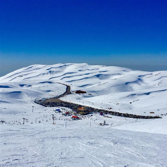 Cabane's perfect day 😎 perfectday  ski  kfardebian  nature  snow ... (Faraya Wardeh)