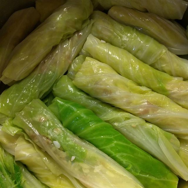  cabbages   stuffedcabbage   stuffedcabbagewithmeat  food  lebanesefood  ...