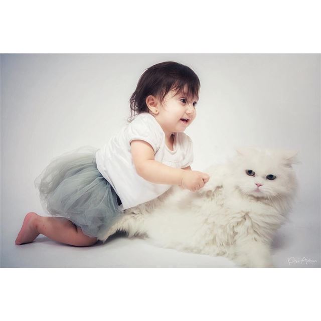  cake  photoshoot  جوري  dream  cat  birthday  playing  smile  oneyearold ...