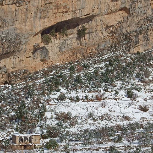 Calm after  storm.  tannourine  lebanon  livelovelebanon  livelovebeirut ... (Tannourine)