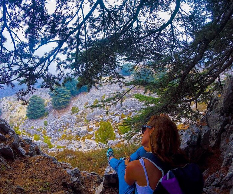 Calm is a super power 🎈 (Arz el Bâroûk)