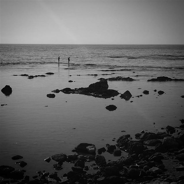 Calm the water -  ichalhoub in  Tripoli north  Lebanon / ...