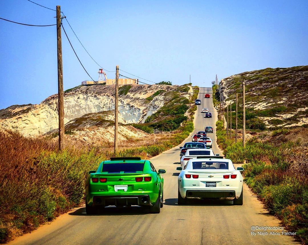  camaro  dodge  challenger  americanmuscle  car  carporn  green  sunny ... (Lebanon)