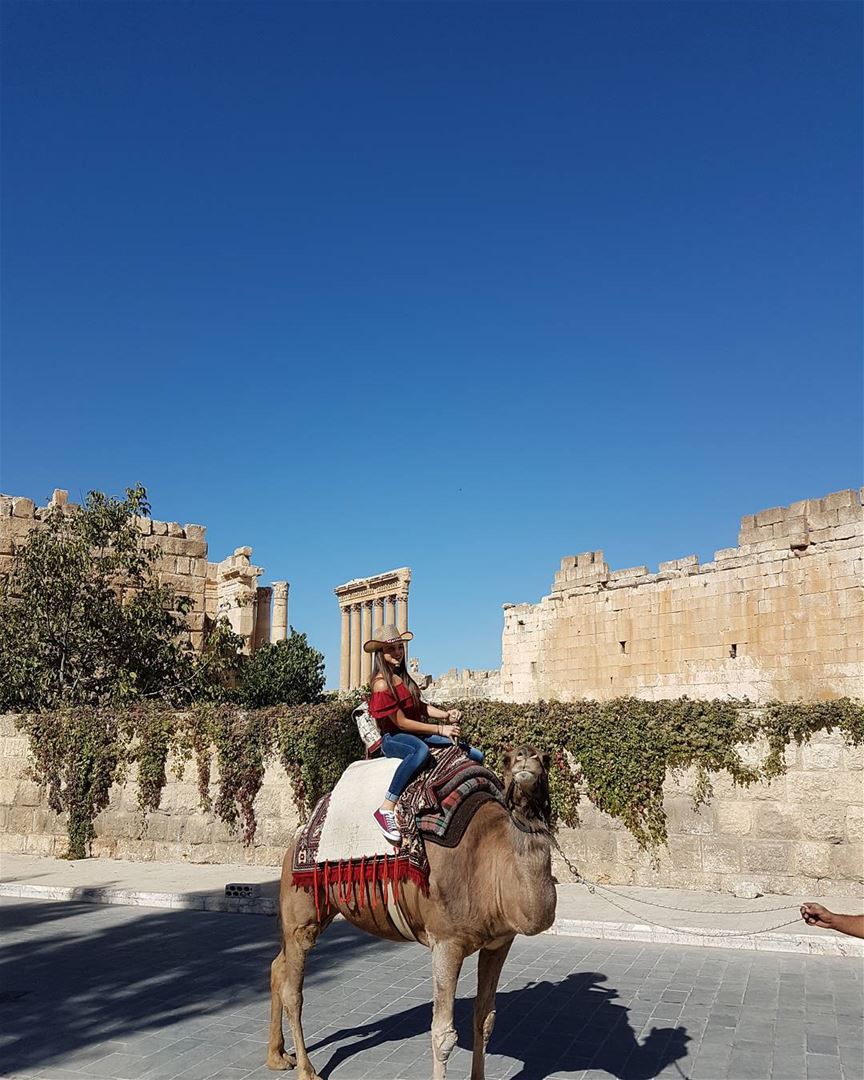 Camel Ride (Baalbek, Lebanon)