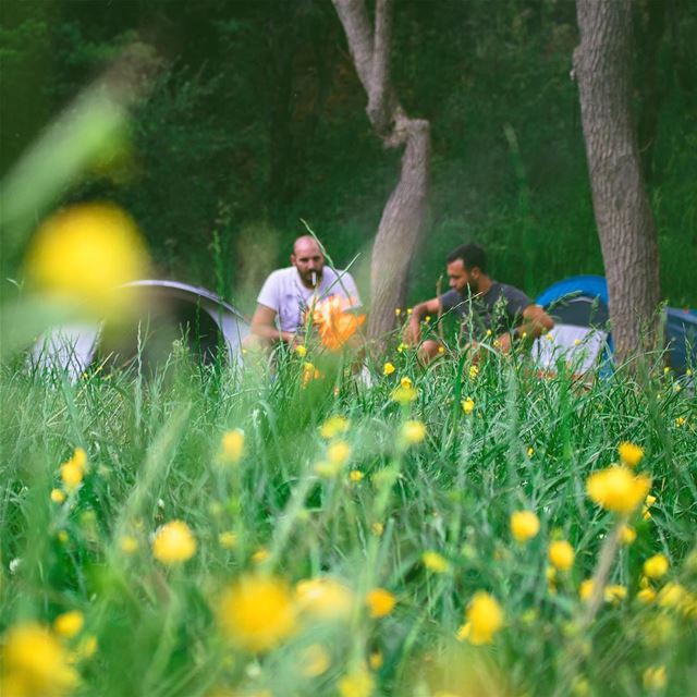 'camping is nature’s way of promoting the motel business...' (Lebanon)