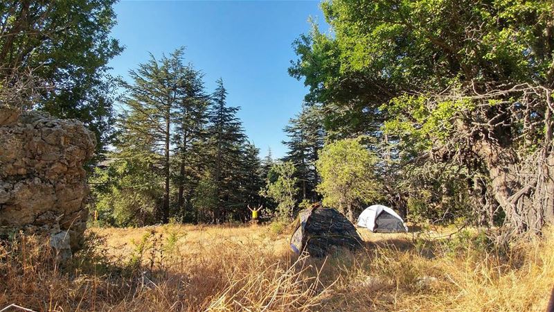 Camping mornings 🌲⛺🌲 myadventureslebanon ........ lebanon ...