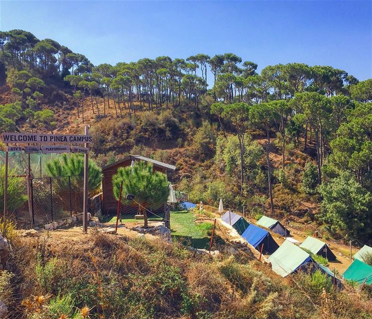  camping  nature  naturephotography  naturelovers  blue  sky  skyporn ... (Haïtoura, Al Janub, Lebanon)