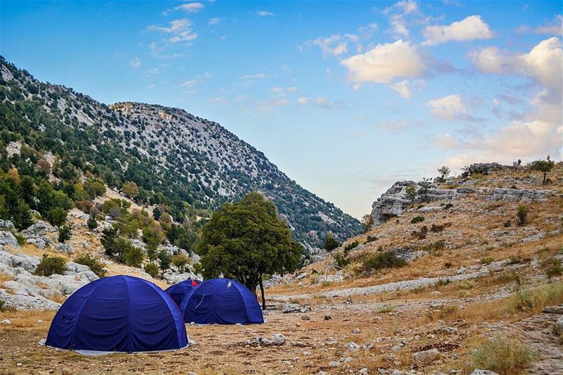 .Camping time. Tannourine,LB. Good evening dear friends! ... (Tannourine,  Liban-Nord,  Lebanon)