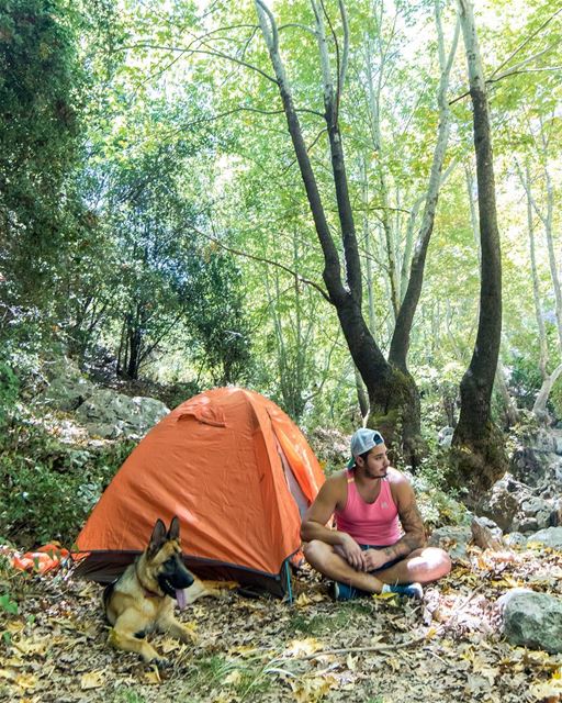 Camping with my bestfriend🐶..... camping camp friends... (Kfarhilda, North)