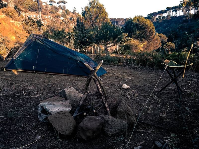 Camping with wolves 😅 campfire  camping  lebanon aindara ...