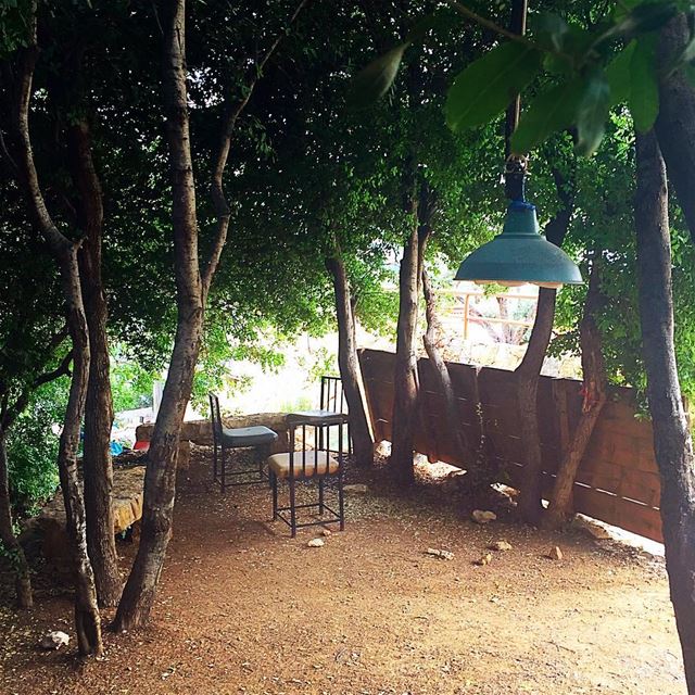 Can i live here?  perfectspot  nature trees green aley lebanon ... (Aley Equiclub)
