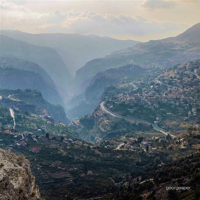 Can't get enough 🙏🏻 Happy Friday.... proudlylebanese ... (Cedars Of Lebanon)