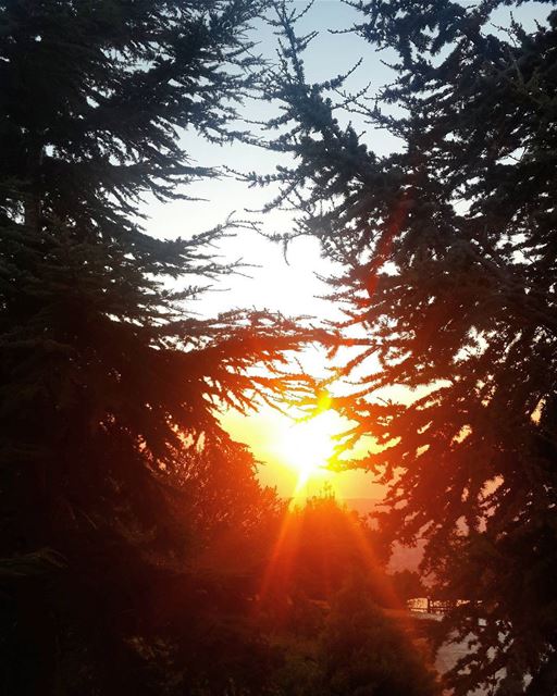 Can't get enough of the  beauty of our  nature  lebanon  sunset ...