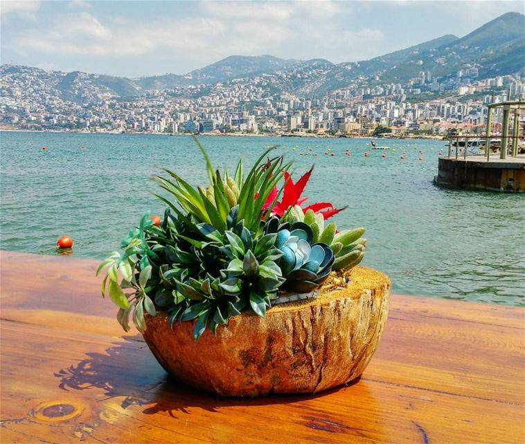 Can't get enough of this view🌱🏞 lagonskiclub  tikibarlagon  jounieh ... (TIKI BAR / LAGON)