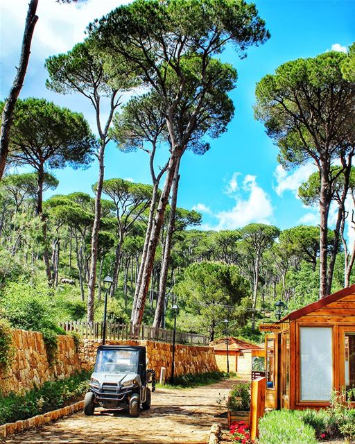 Can't wait to go back again to this  place 🏕 livelovejezzine ... (La Maison de la Forêt)