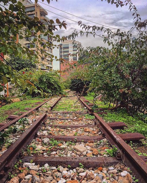 Can wait to go back home ♥️ nature  retro  instagood  wanderlust ... (Beirut, Lebanon)