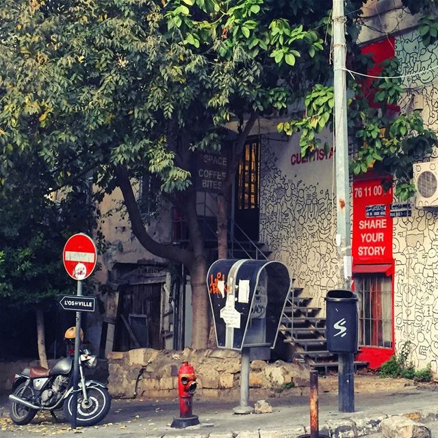 Can you feel it falling?🍃🍂  Lebanon tb travel travelgram traveler... (Beirut, Lebanon)