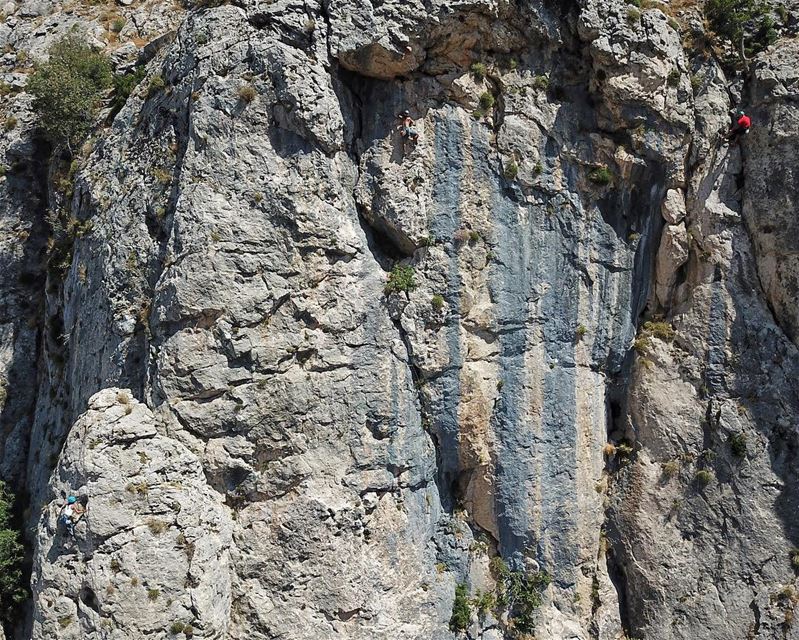 Can you guess the number of climbers?!... flyingfrog flyingfrogco...