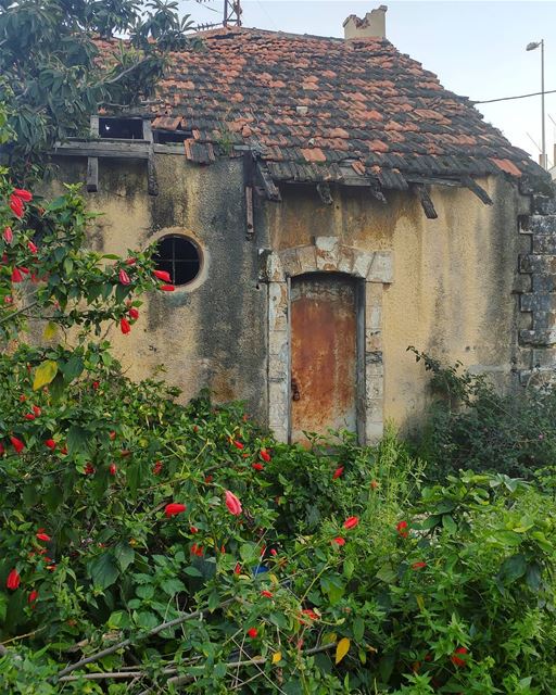 Can you guess where this rusty door used to lead? Hint: 🚂 (Tripoli, Lebanon)