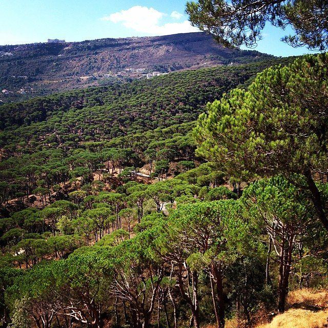 Can you hear that? It's the sound of silence in the magnificient Bkassine...