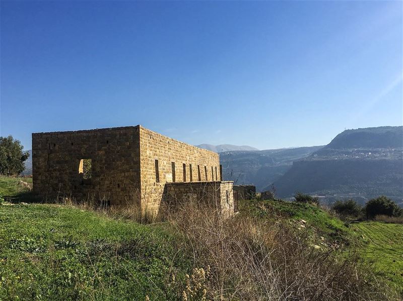 Can you hear their voices?______________________________________  Nature... (`Ain Trez, Mont-Liban, Lebanon)