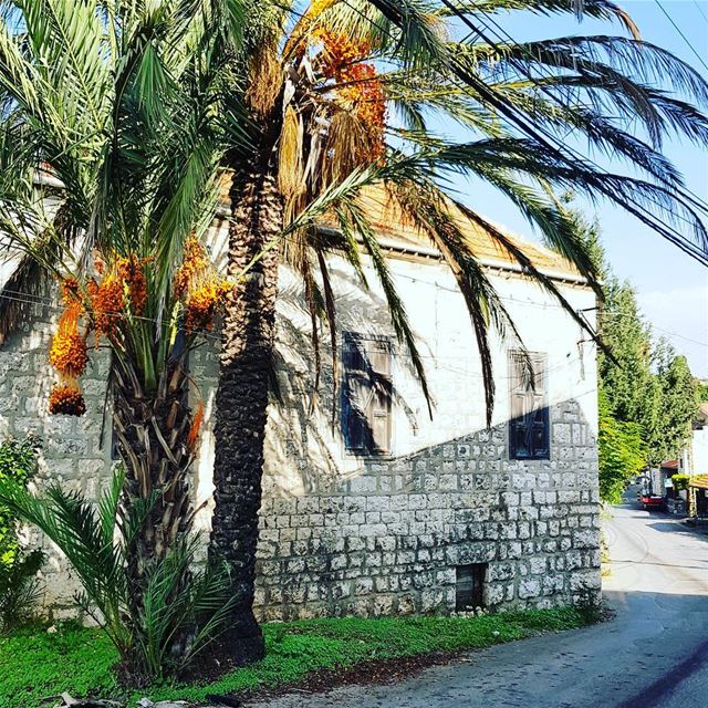 Can you pass by without noticing this beauty?  it's impossible 🤗... (Hamat)