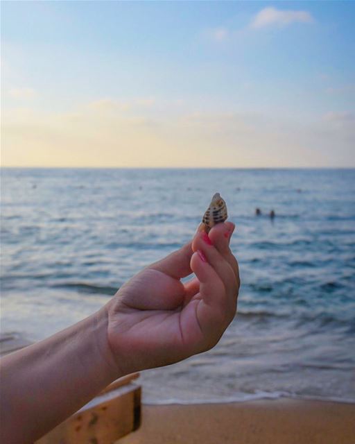 Can you really hear the ocean in a  seashell ? 🌊🐚❤️... (Dar Alma)