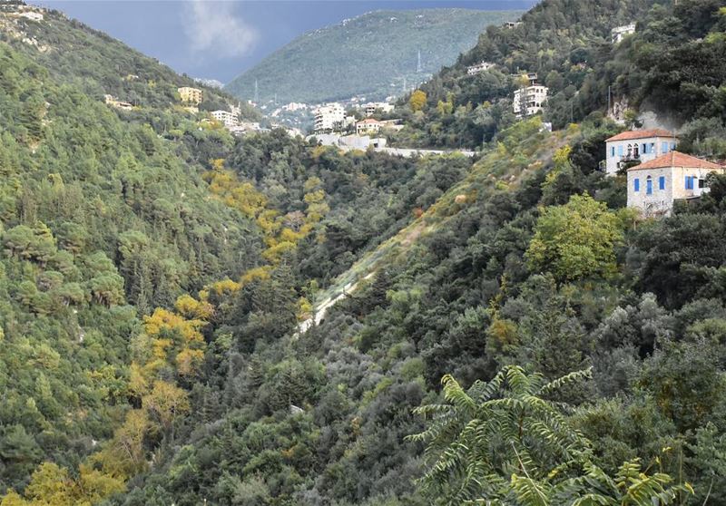 Can you see the river?  follow the yellow trees :)........... (Ghazir, Mont-Liban, Lebanon)