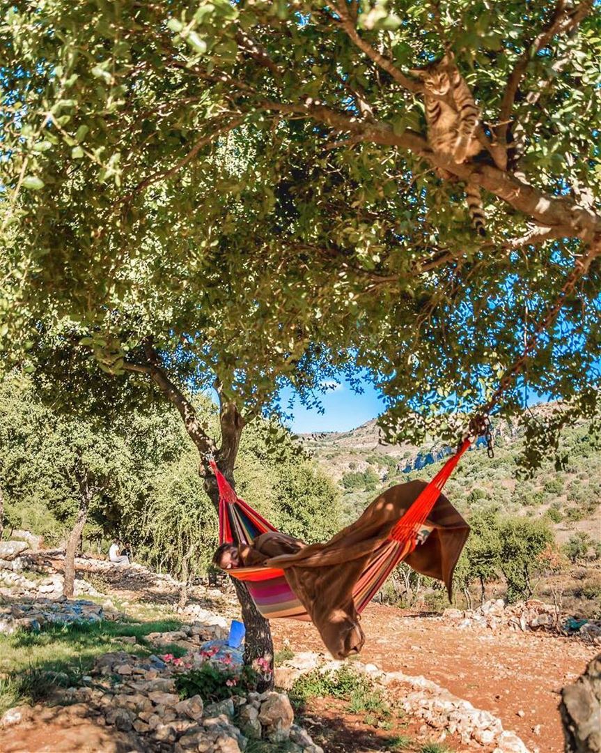 Can you spot the CAT 🐱 ??? ... SkyRockCamping with  sanelebanon ...�